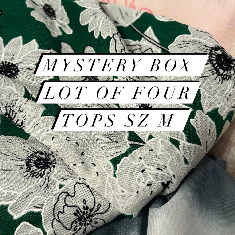 Mystery box Lot of 4 tops sz M some new !